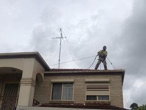 IMG_20230226_110634 (1)